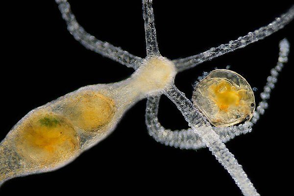 Кракен переходник ссылка