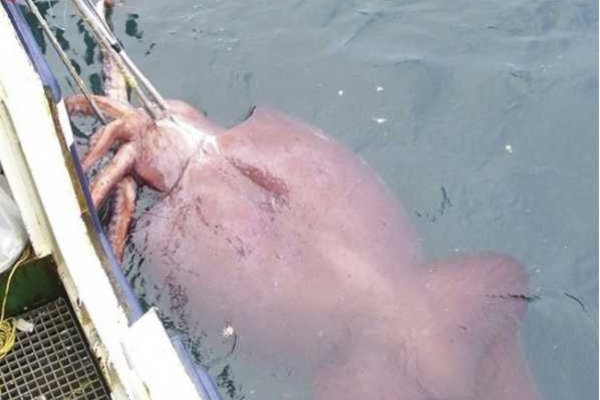 Kraken 2025 ссылка