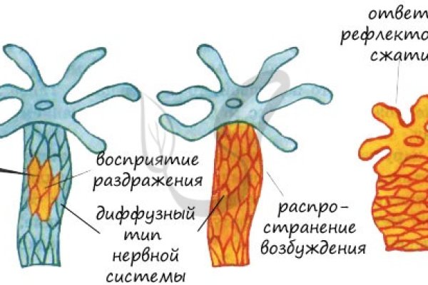 Кракен актуальная ссылка тор